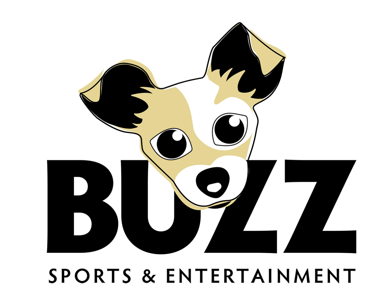 Buzz Sports Entertainment logo